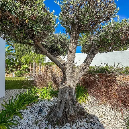 Luxury Heated Pool, Walk To Sao Rafael Beach, *