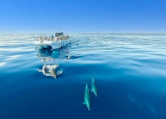 Luxury Heated Pool, Walk To Sao Rafael Beach, Βίλα