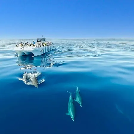 Luxury Heated Pool, Walk To Sao Rafael Beach, Willa